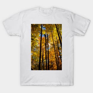 Tree Tops in Fall T-Shirt